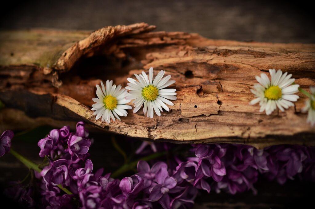 hout